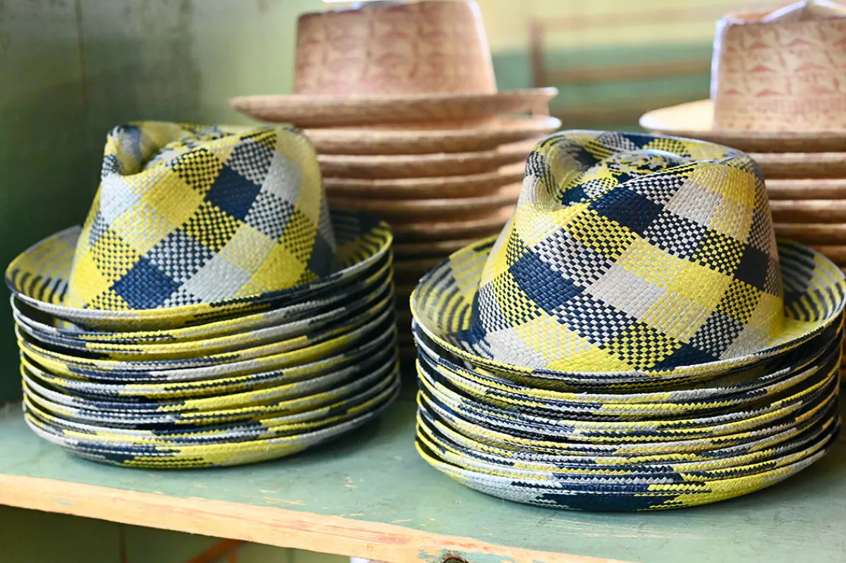 215S Fedora-Trimmed & Crowned Online